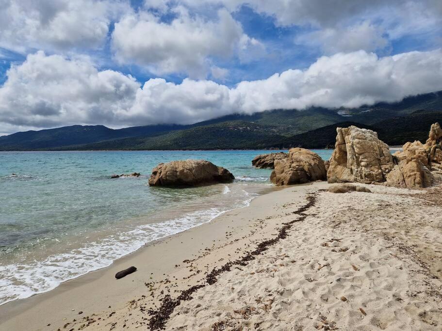 Mini Villa 69 - Piscine Chauffee Serra-di-Ferro  Dış mekan fotoğraf
